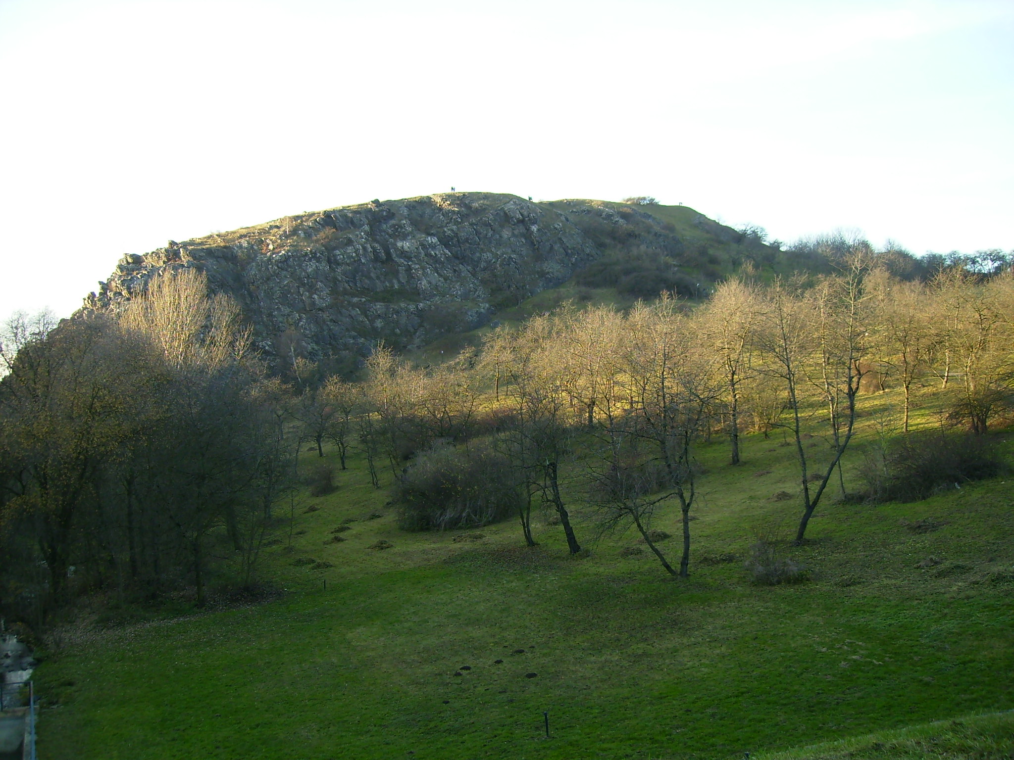 PB150016.JPG