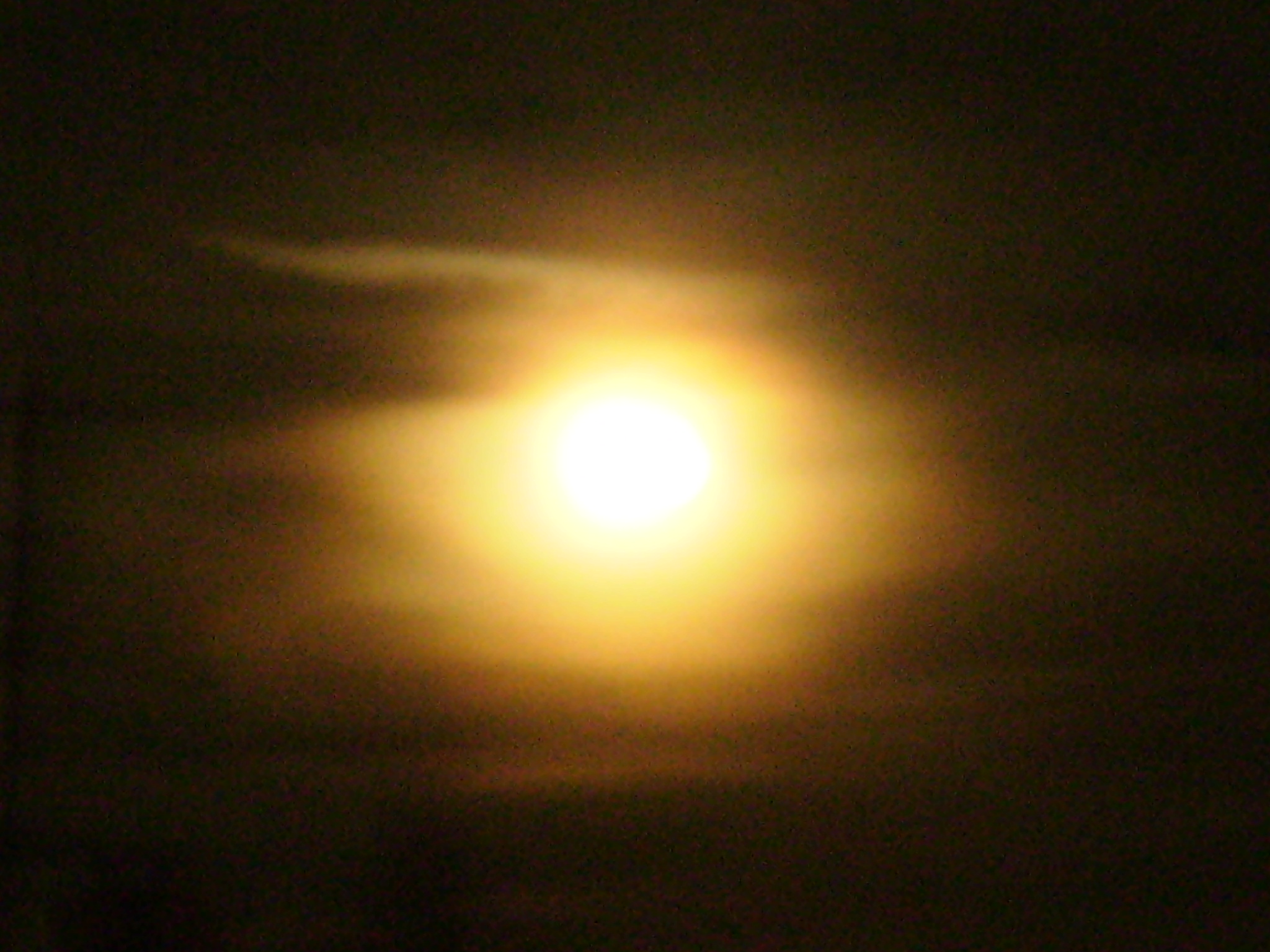 PB150023.JPG