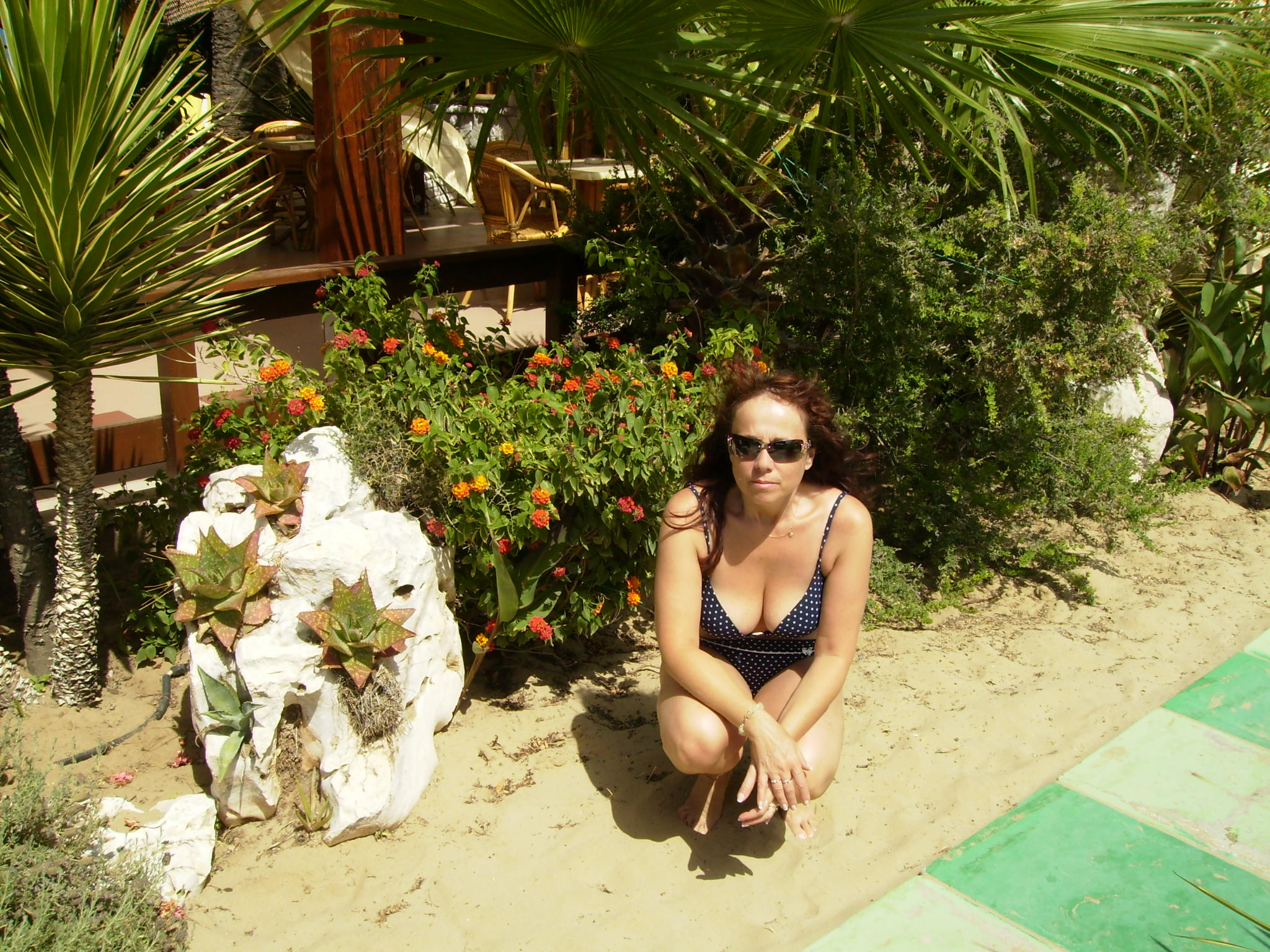 Vieste 2008 042.jpg