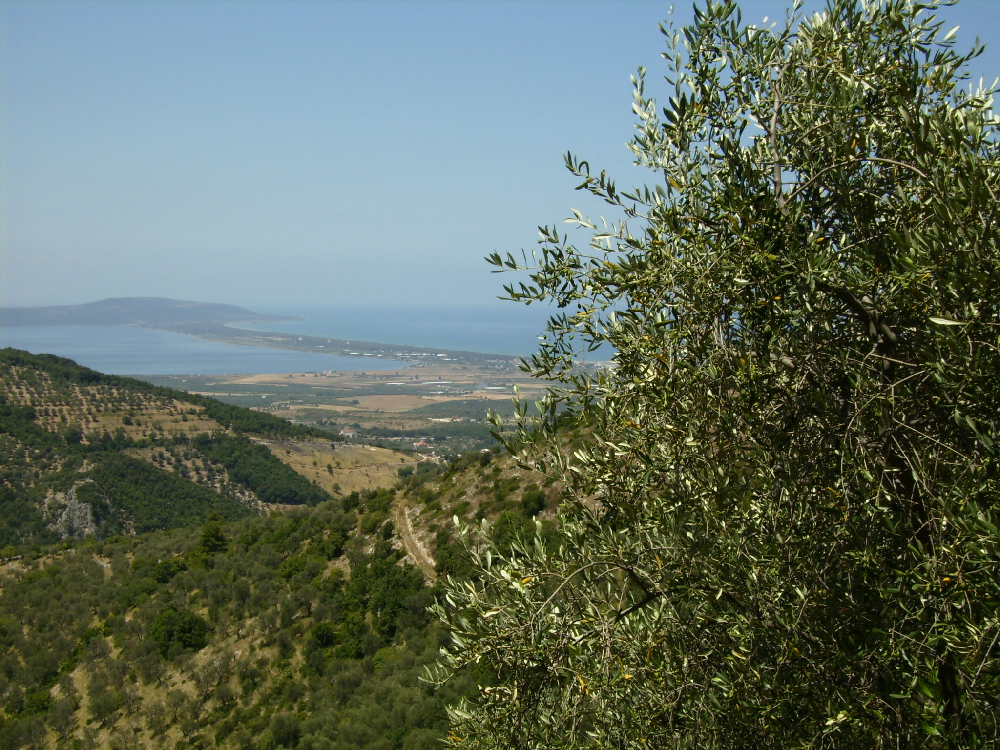 Vieste 2008 134.jpg