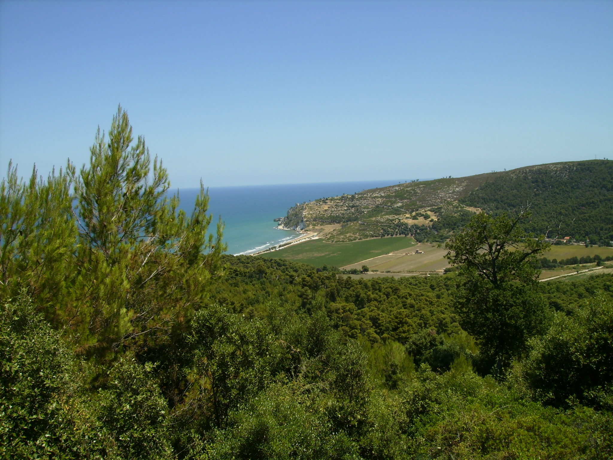 Vieste 2008 143.jpg