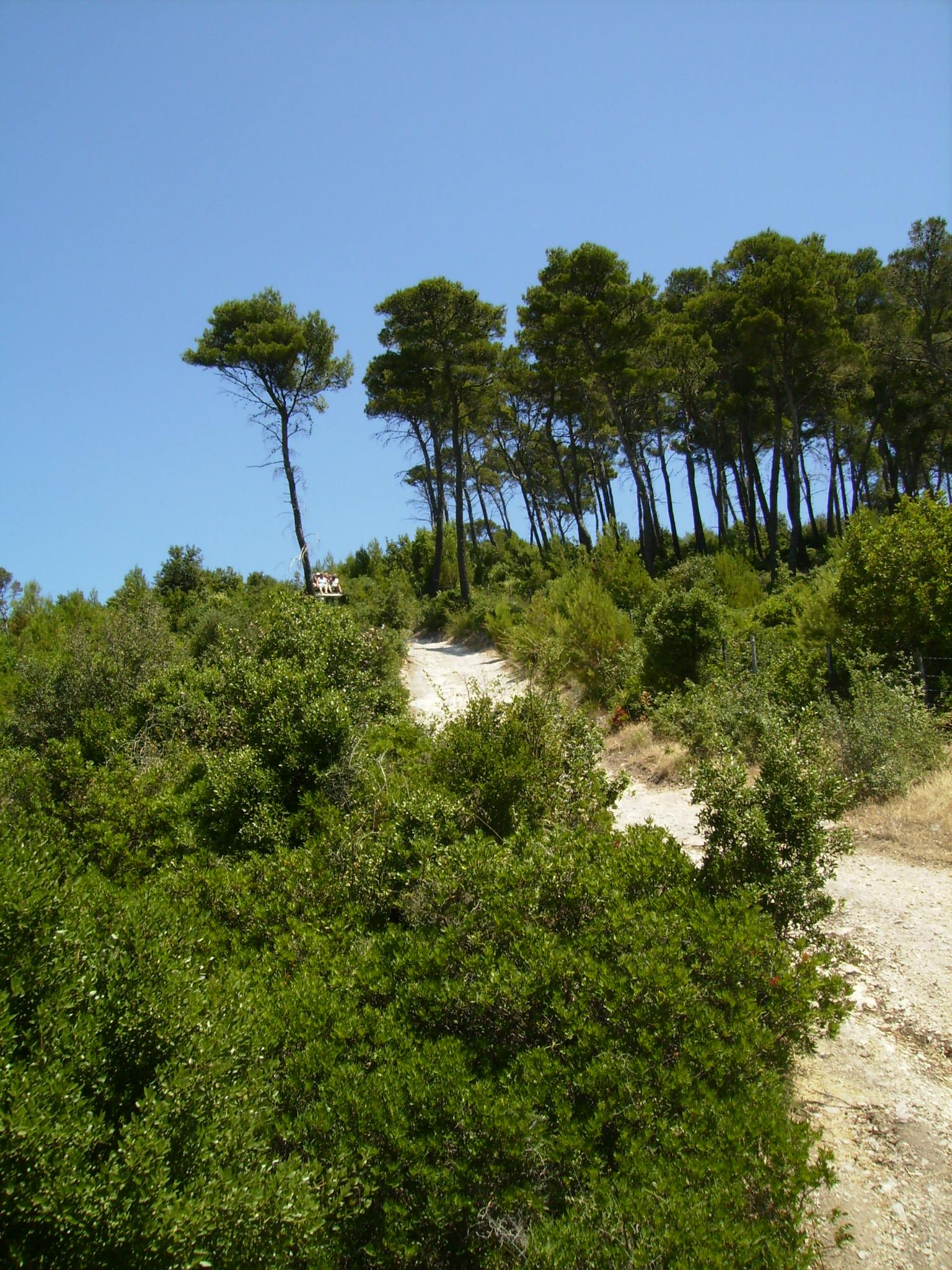 Vieste 2008 151.jpg