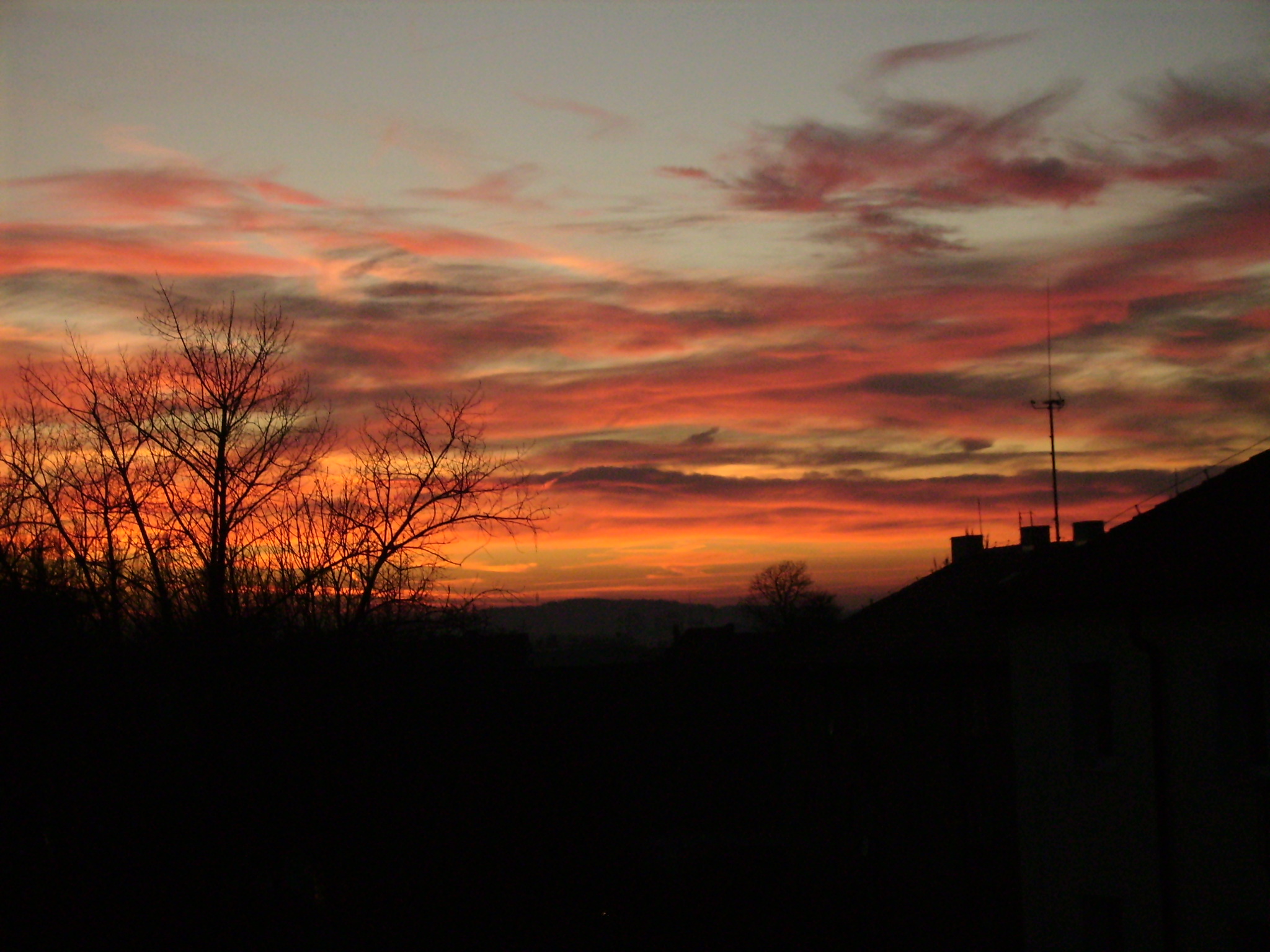 P3120130.JPG