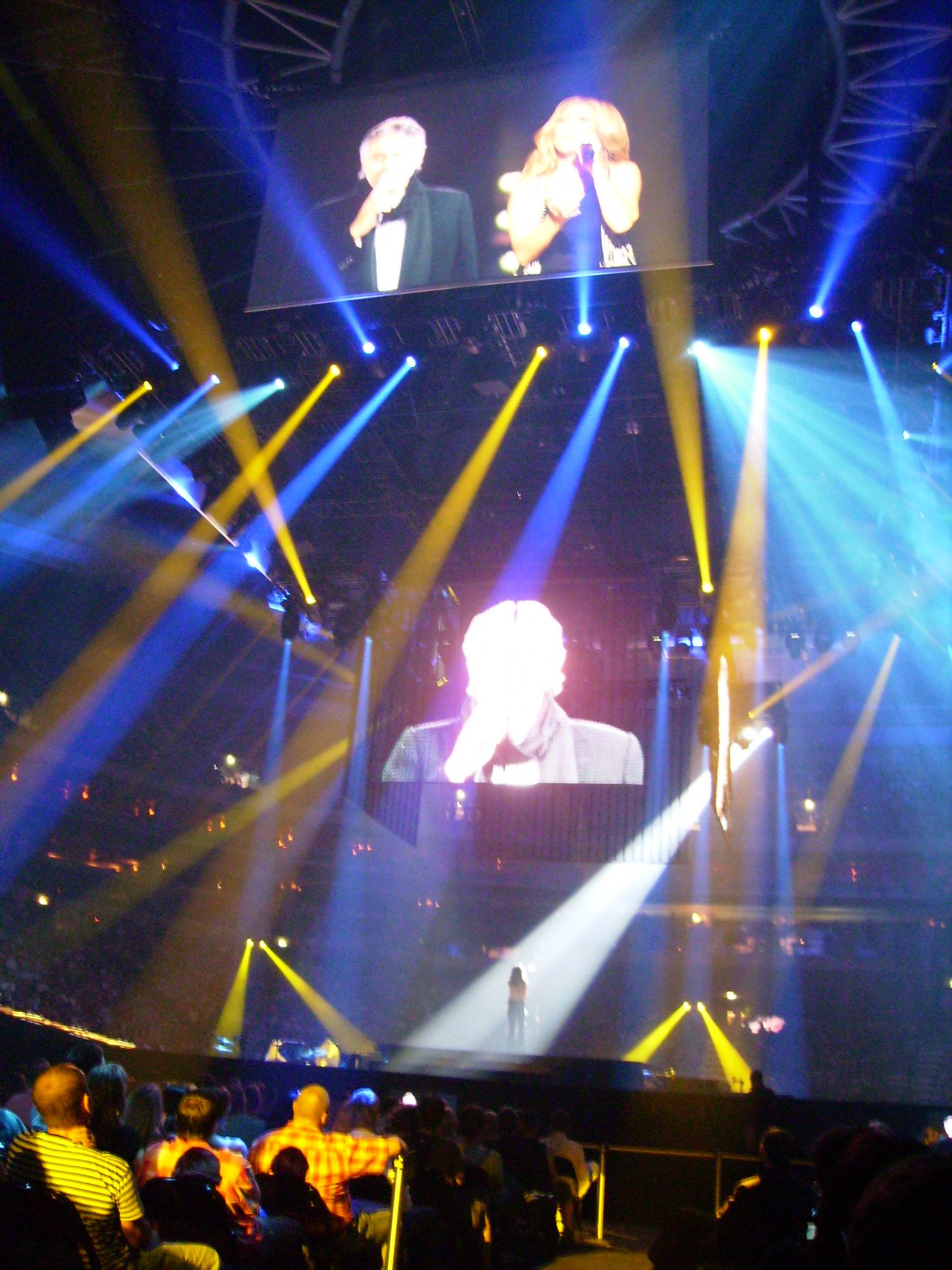 Koncert Celine Dion 132.jpg
