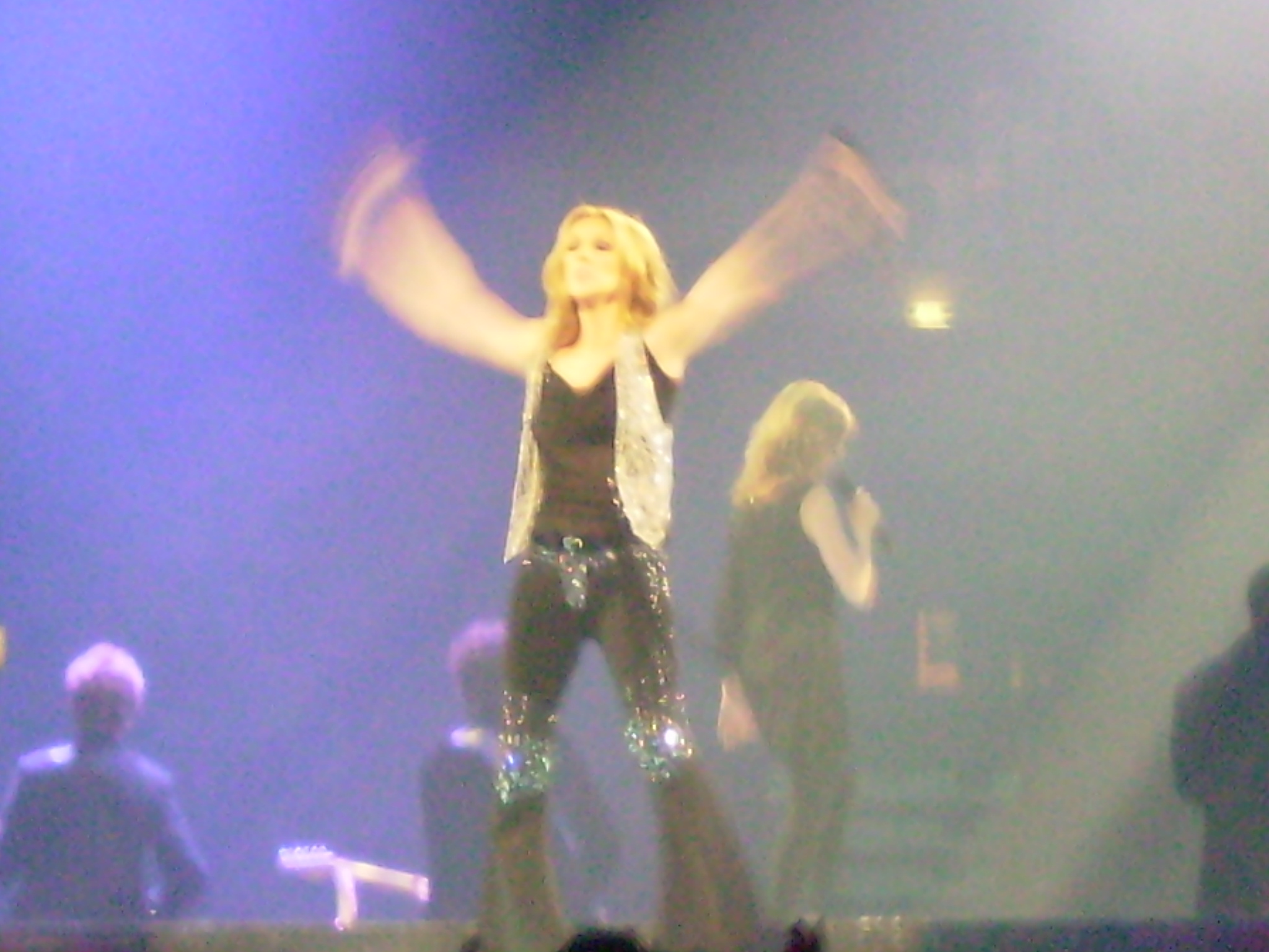 Koncert Celine Dion 104.jpg