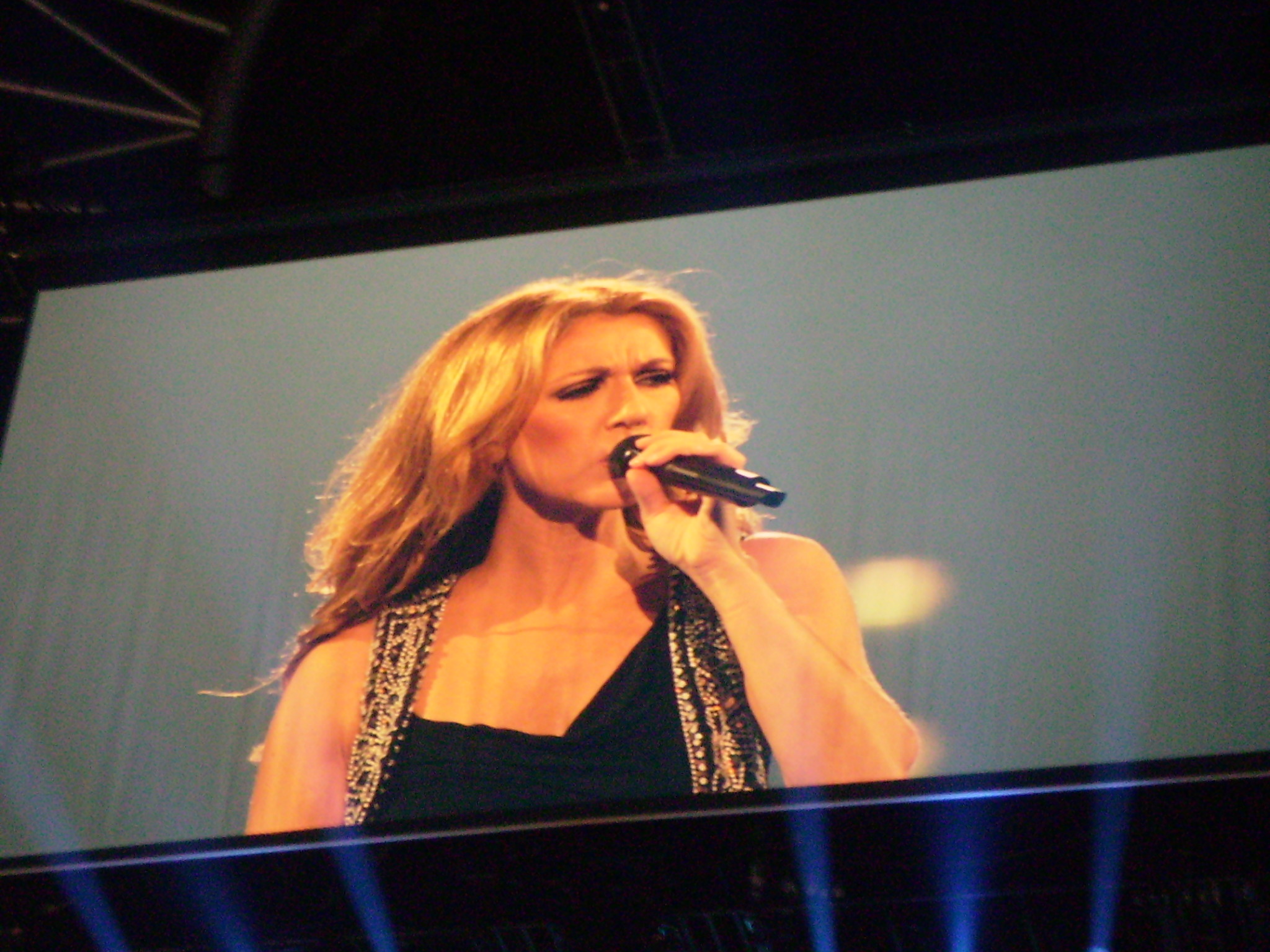 Koncert Celine Dion 098.jpg